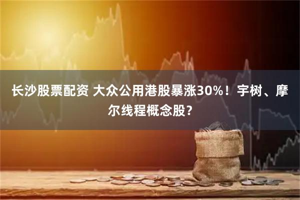 长沙股票配资 大众公用港股暴涨30%！宇树、摩尔线程概念股？