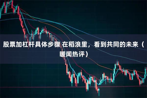 股票加杠杆具体步骤 在稻浪里，看到共同的未来（暖闻热评）