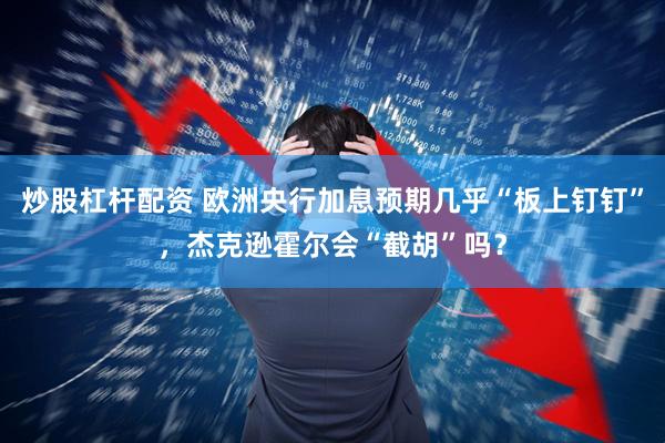炒股杠杆配资 欧洲央行加息预期几乎“板上钉钉”，杰克逊霍尔会“截胡”吗？